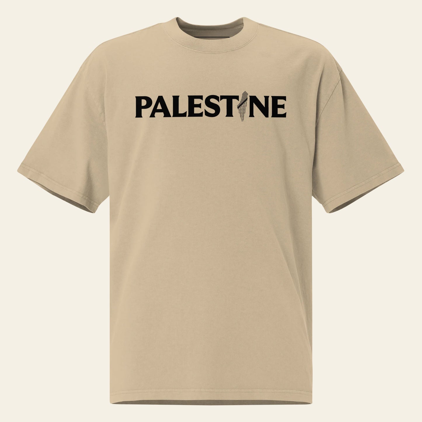 Palestine Oversized faded t-shirt